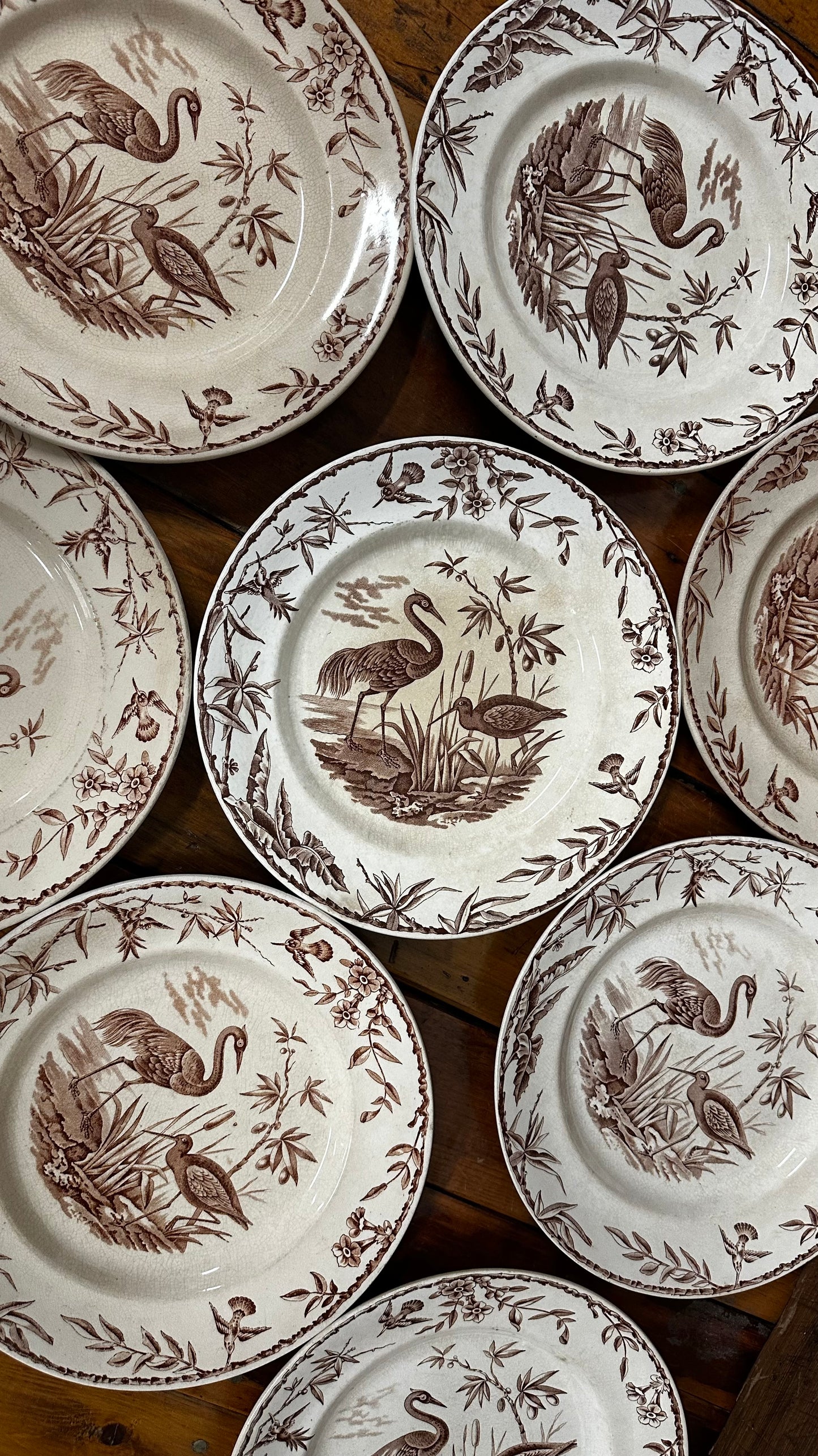 Set of 9 Ridgways Indus Pattern Dinner Plates