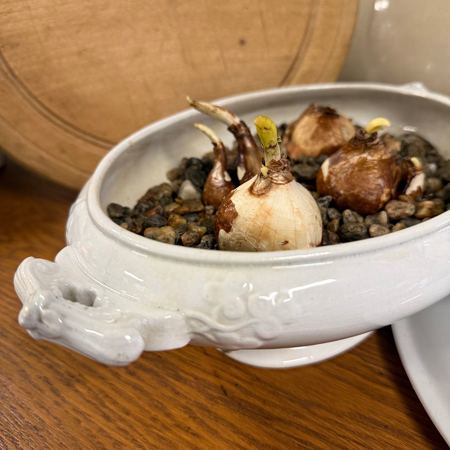 Oval Ironstone Covered Dish with Paperwhites