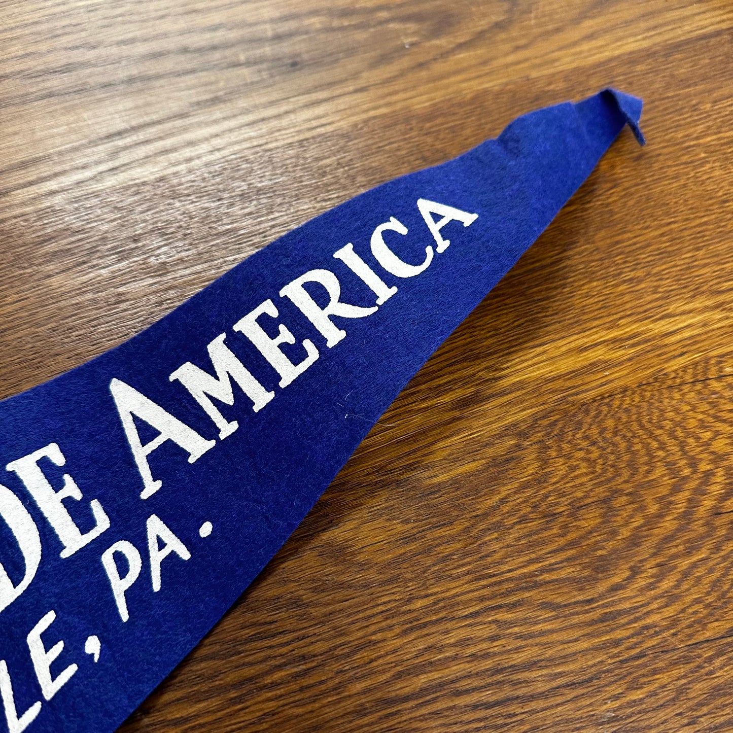 Vintage Roadside America Pennant