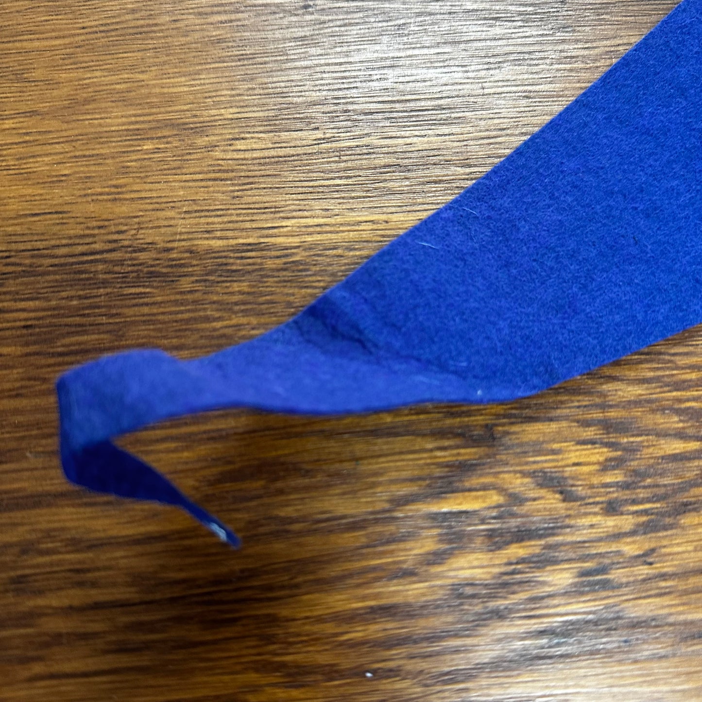 Vintage Roadside America Pennant