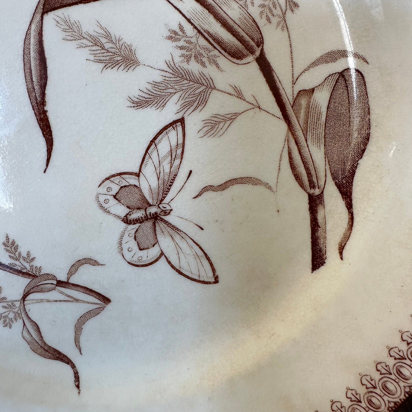 T&R Boote Summer Time Pattern Brown Transferware 8.75" Plate Dishes Floral Aesthetic Movement