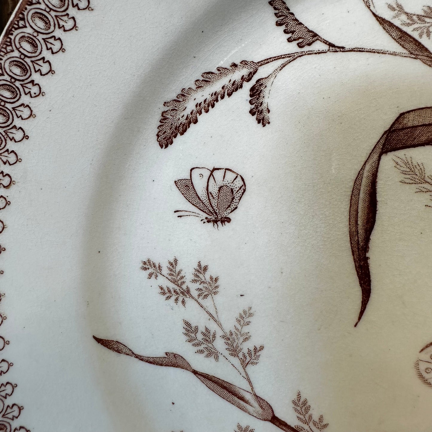 T&R Boote Summer Time Pattern Brown Transferware 8.75" Plate Dishes Floral Aesthetic Movement