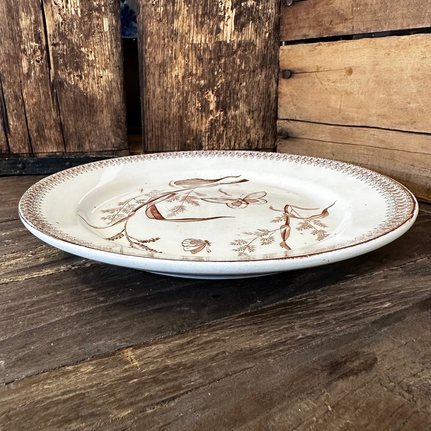 T&R Boote Summer Time Pattern Brown Transferware 8.75" Plate Dishes Floral Aesthetic Movement