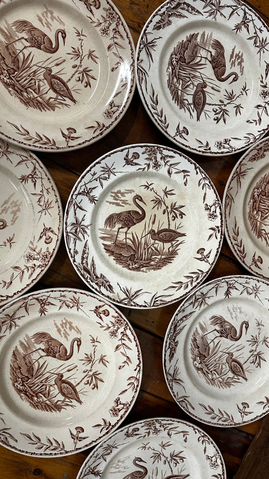 Set of 9 Ridgways Indus Pattern Dinner Plates