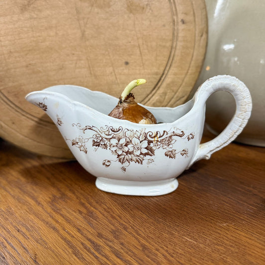 Transferware Gravy Boat with Paperwhites