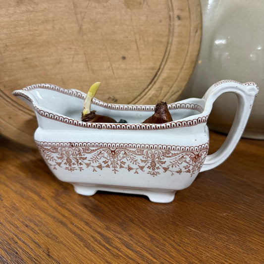 Transferware Gravy Boat with Paperwhites
