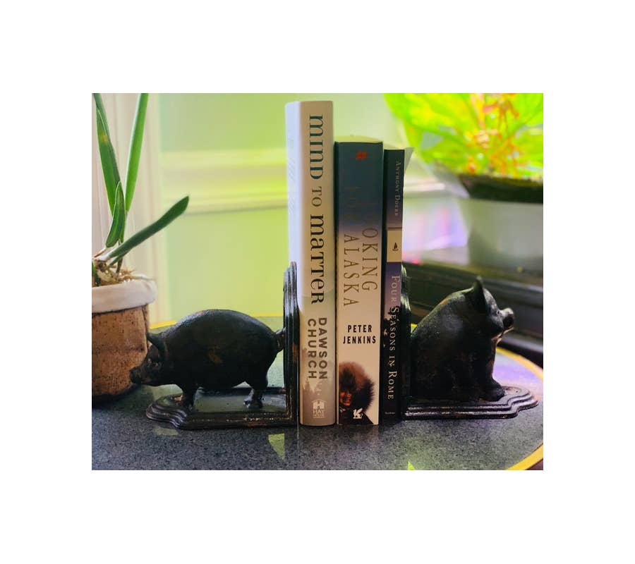 Cast Iron Pig Bookends in Black Rustic Finish