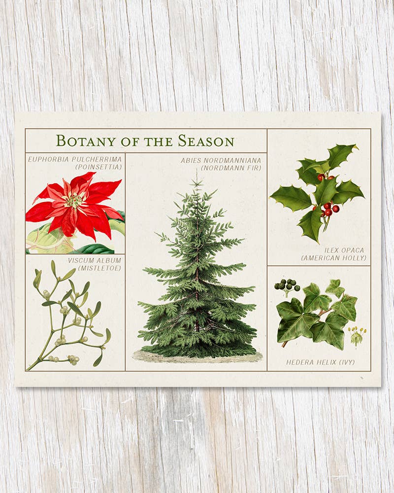 Botany of the Season Card