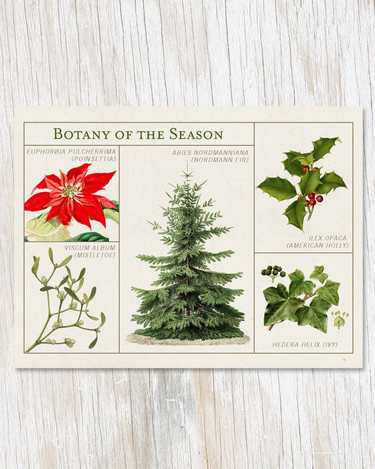 Botany of the Season Card