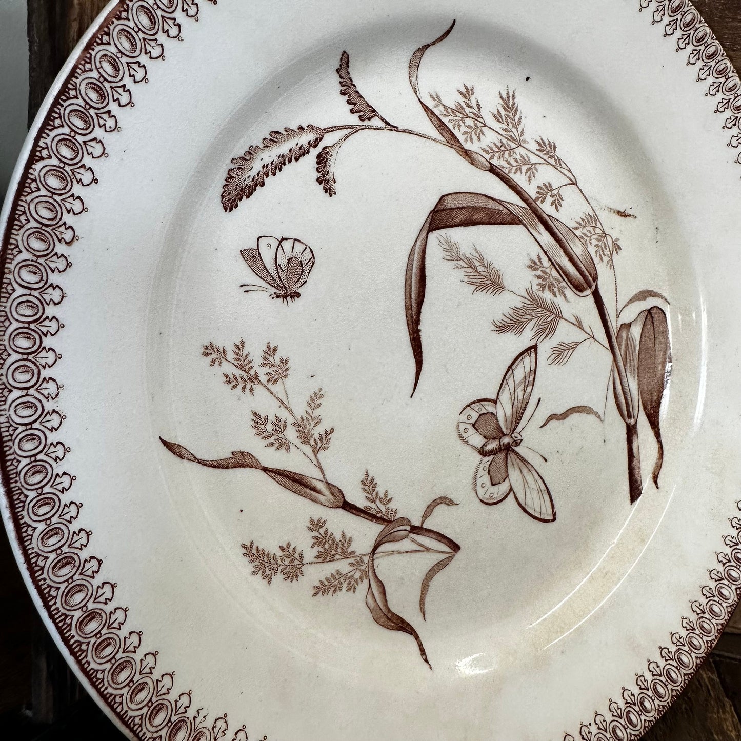 T&R Boote Summer Time Pattern Brown Transferware 8.75" Plate Dishes Floral Aesthetic Movement